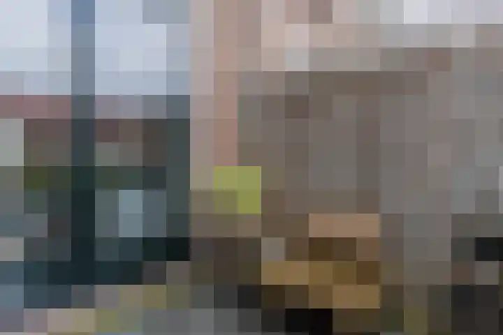 Tienenwal 7 Alkmaar thumbnail 40