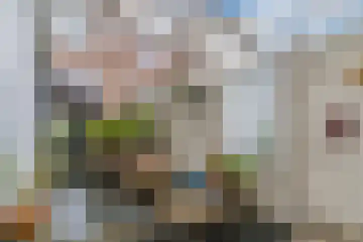 Tienenwal 7 Alkmaar thumbnail 41