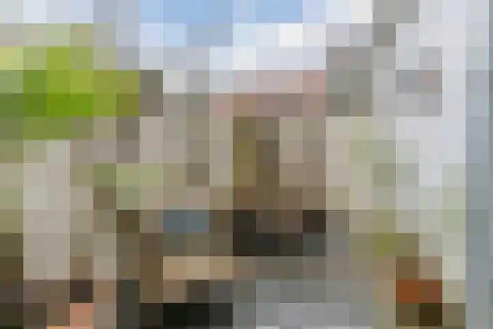 Tienenwal 7 Alkmaar thumbnail 43