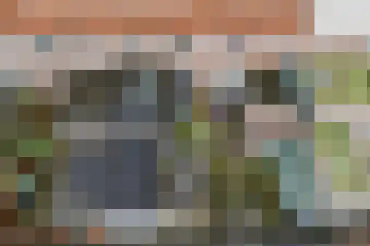 Tienenwal 7 Alkmaar thumbnail 45