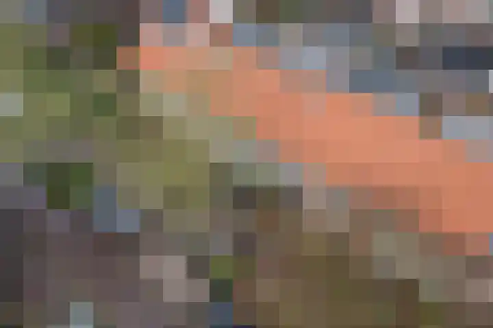 Tienenwal 7 Alkmaar thumbnail 48