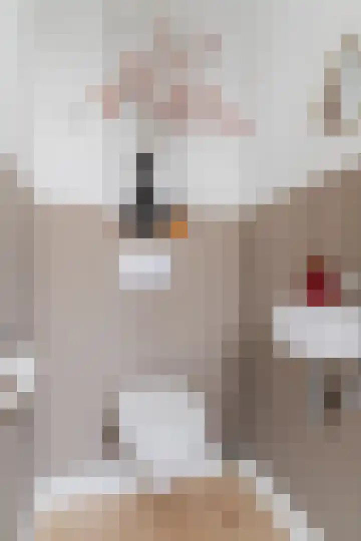 Tienenwal 7 Alkmaar thumbnail 6