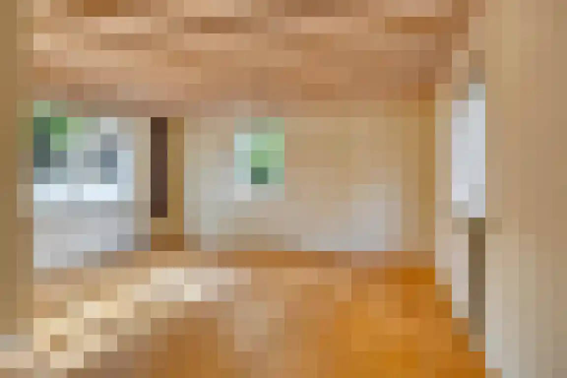 Tienenwal 8 Alkmaar thumbnail 12