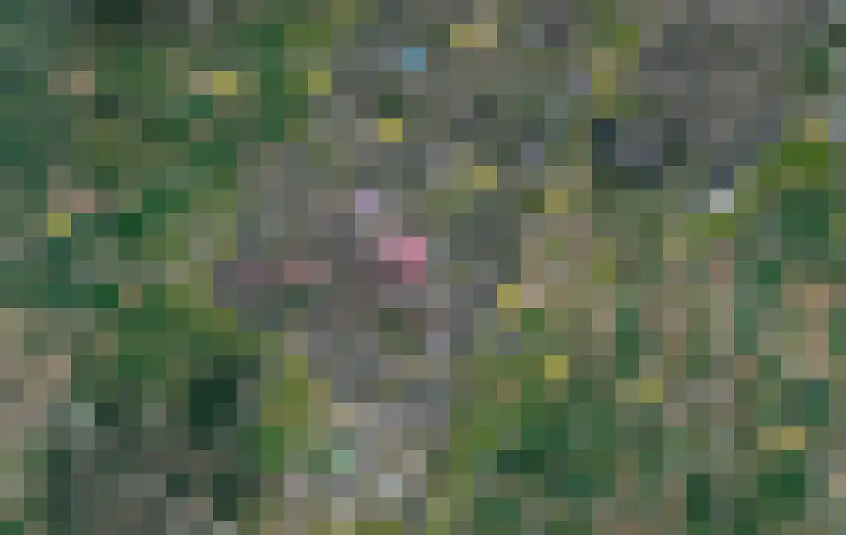 Tienenwal 8 Alkmaar thumbnail 36