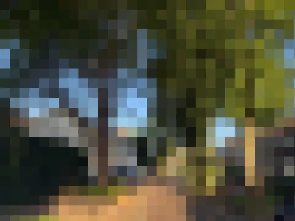 Tienenwal 8 Alkmaar thumbnail 6