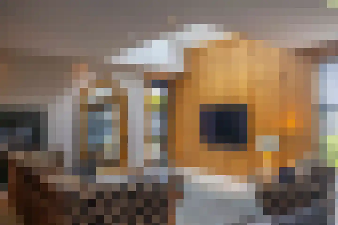 Tiengastraat 13 Opende thumbnail 18