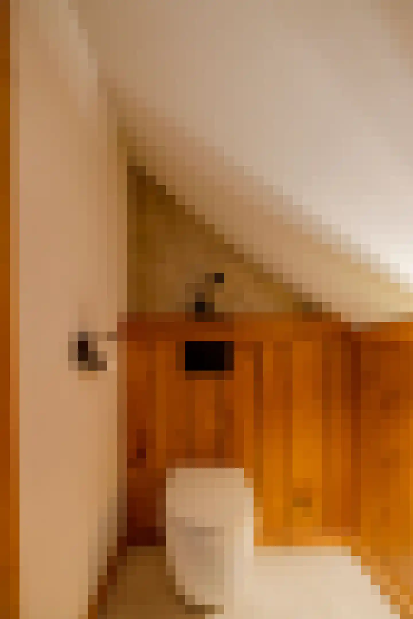 Tiengastraat 13 Opende thumbnail 36