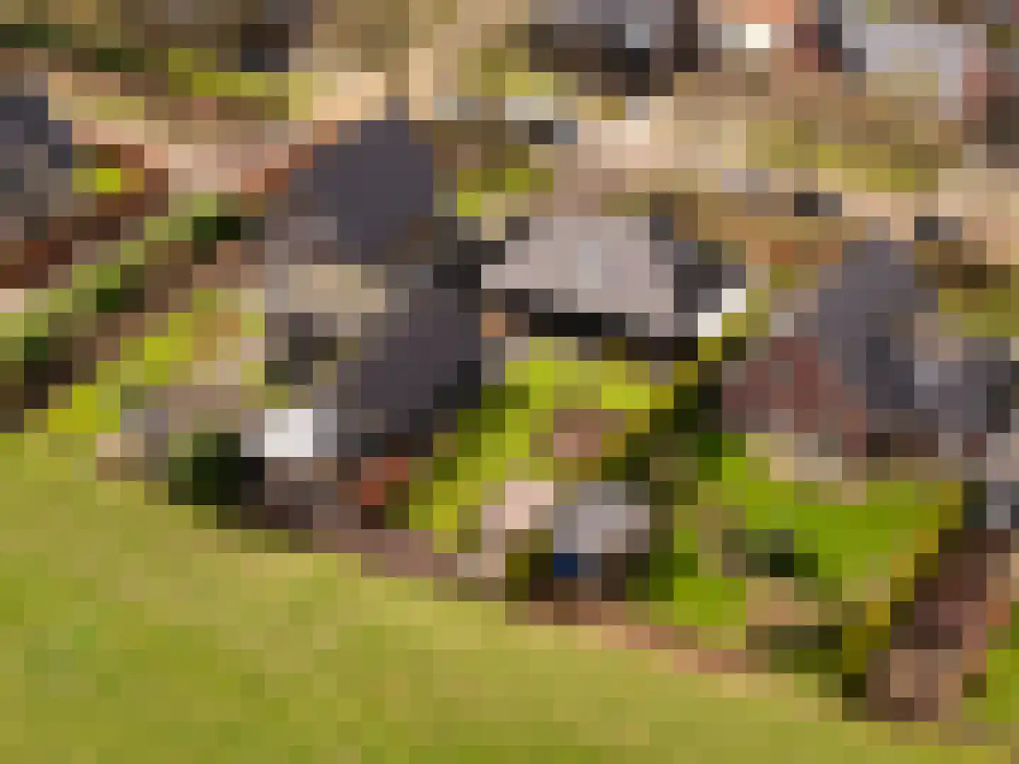 Tiengastraat 13 Opende thumbnail 38