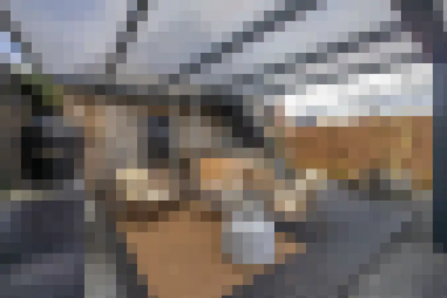 Tiengastraat 13 Opende thumbnail 50