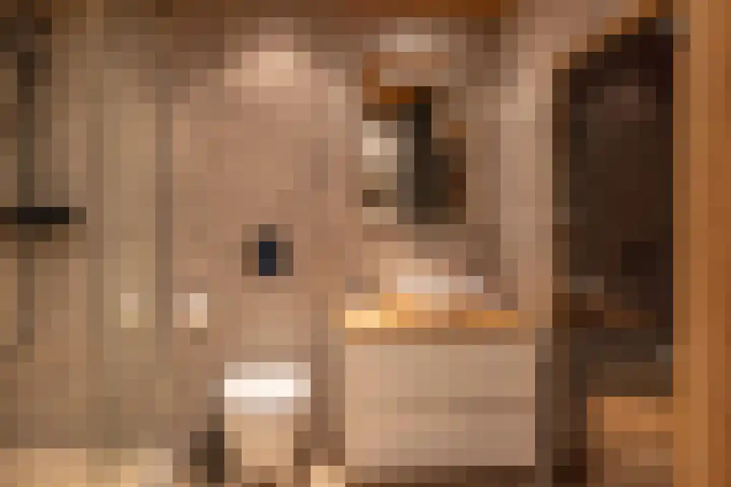 Tiengastraat 13 Opende thumbnail 59