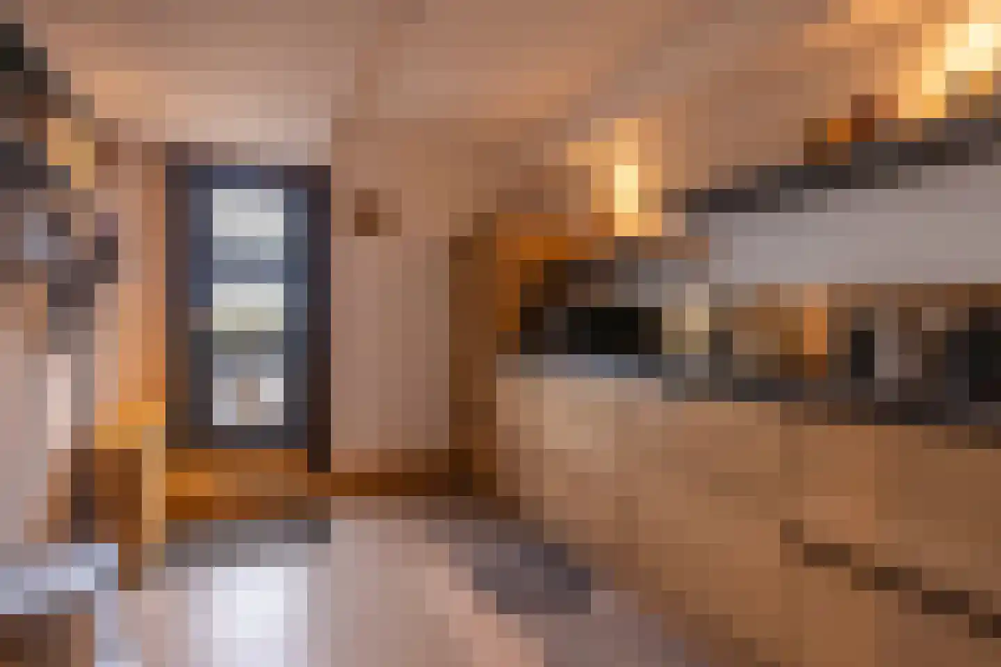 Tiengastraat 13 Opende thumbnail 61