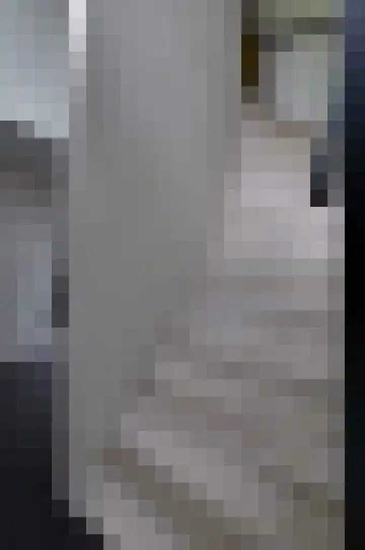 Tiengastraat 14 A Opende thumbnail 31
