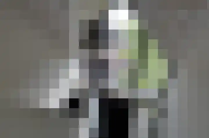 Tiengastraat 14 A Opende thumbnail 32