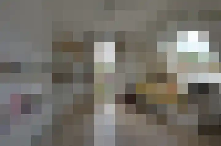 Tiengastraat 14 A Opende thumbnail 34