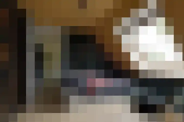 Tiengastraat 14 A Opende thumbnail 37