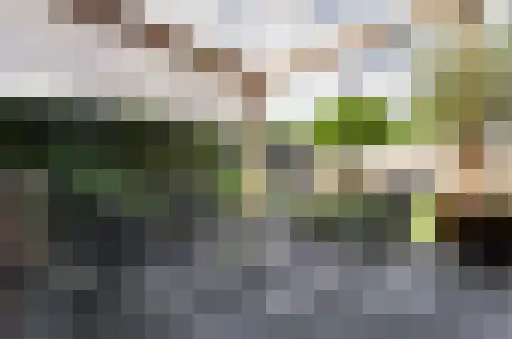 Tiengastraat 14 A Opende thumbnail 47