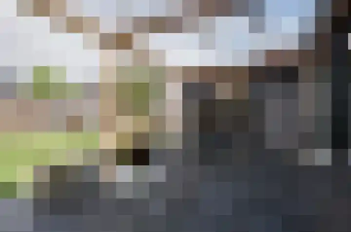 Tiengastraat 14 A Opende thumbnail 48