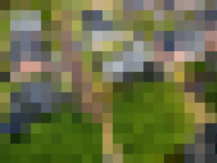 Tiengastraat 14 A Opende thumbnail 65
