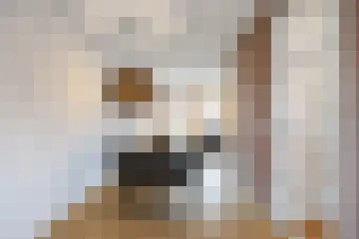 Tiengastraat 8 Opende thumbnail 15