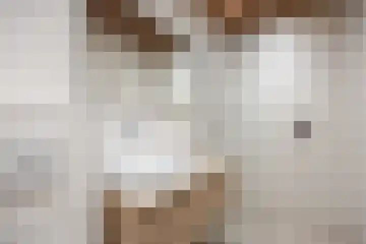 Tiengastraat 8 Opende thumbnail 4