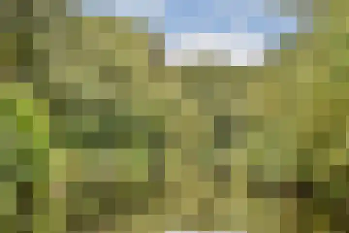 Tiengemeten 119 Amstelveen thumbnail 20