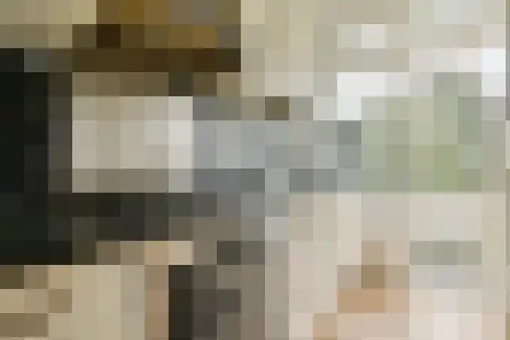 Tiengemeten 119 Amstelveen thumbnail 9