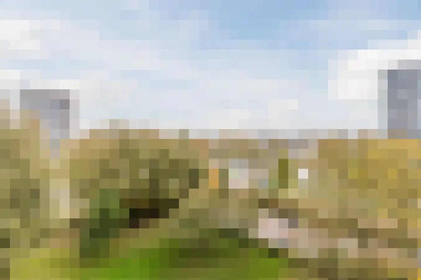 Tiengemeten 183 Amstelveen thumbnail 22