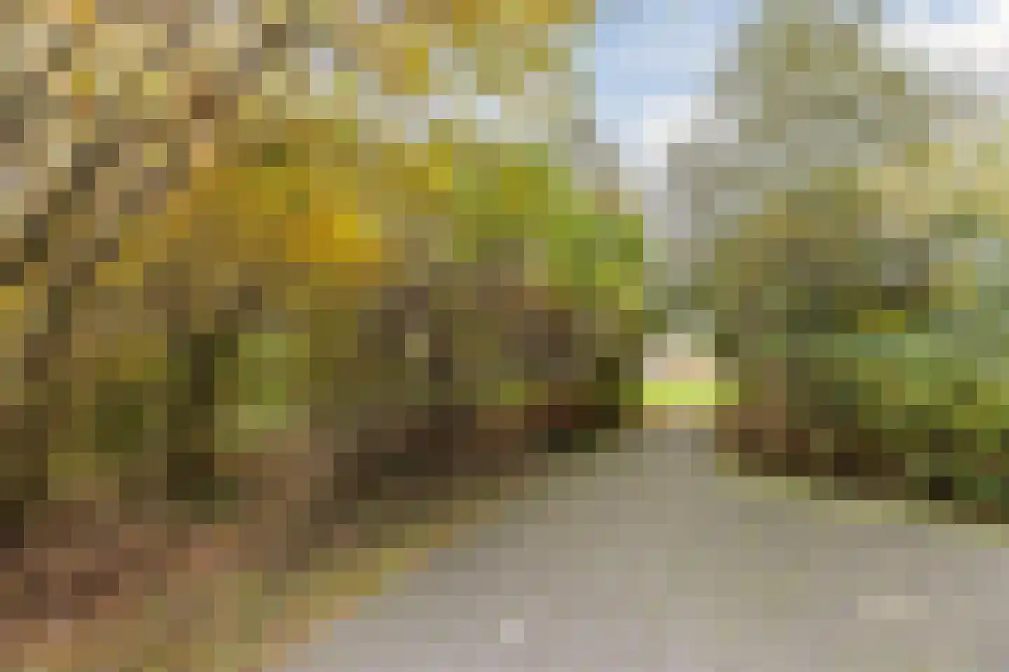 Tiengemeten 183 Amstelveen thumbnail 24