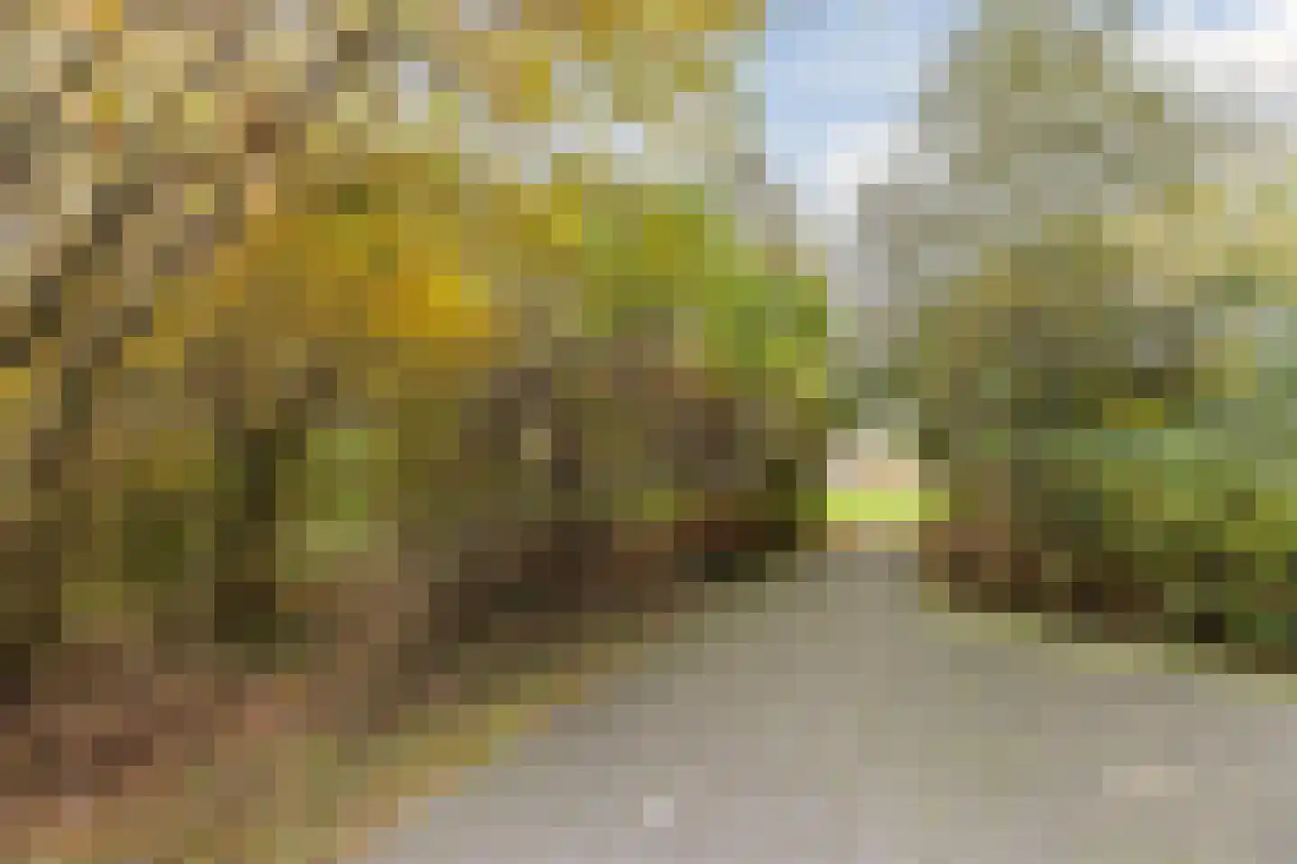 Tiengemeten 183 Amstelveen thumbnail 24