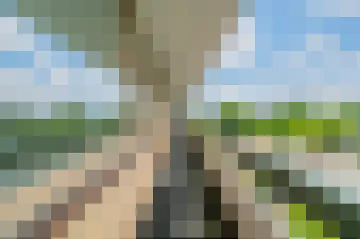 Tiengemeten 185 Amstelveen thumbnail 24
