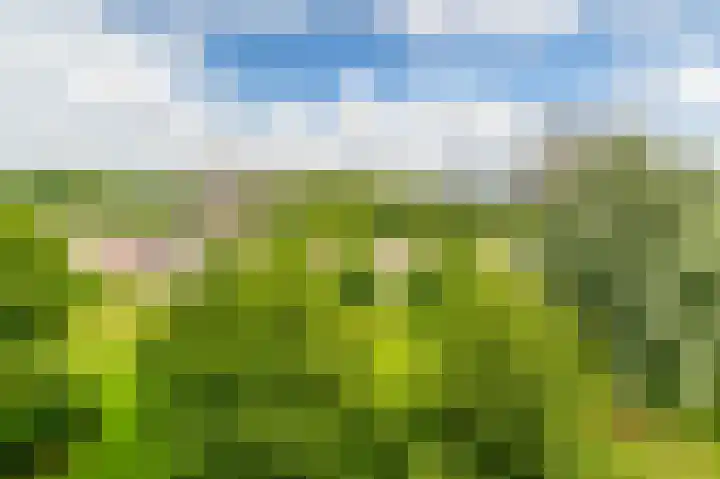 Tiengemeten 185 Amstelveen thumbnail 27