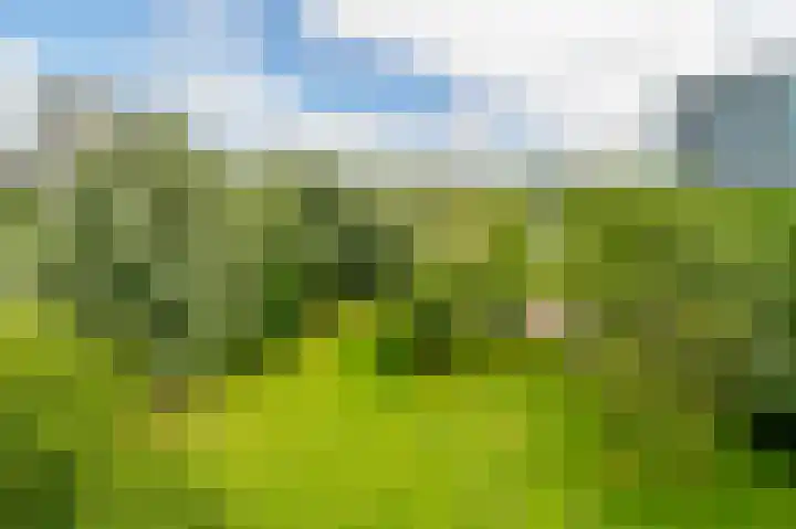 Tiengemeten 185 Amstelveen thumbnail 28