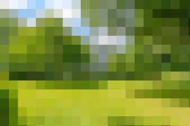 Tiengemeten 185 Amstelveen thumbnail 29