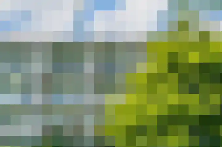 Tiengemeten 185 Amstelveen thumbnail 32