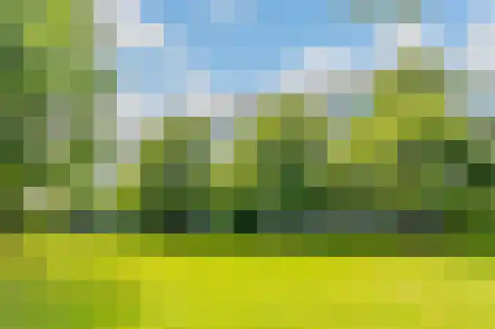 Tiengemeten 185 Amstelveen thumbnail 33