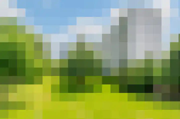 Tiengemeten 185 Amstelveen thumbnail 34