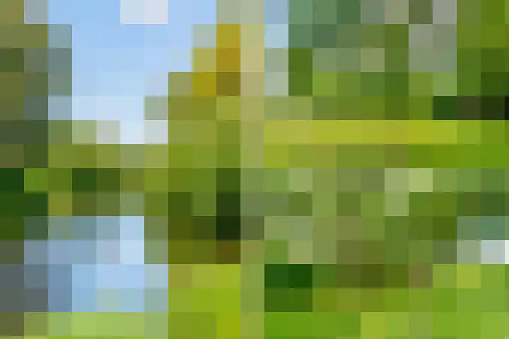 Tiengemeten 185 Amstelveen thumbnail 39
