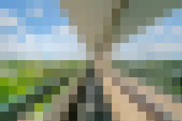 Tiengemeten 185 Amstelveen thumbnail 44
