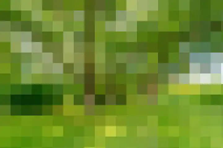 Tiengemeten 185 Amstelveen thumbnail 45