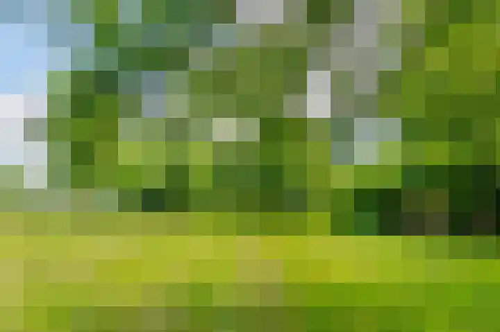 Tiengemeten 185 Amstelveen thumbnail 46