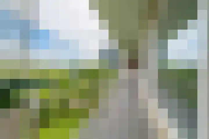Tiengemeten 185 Amstelveen thumbnail 6