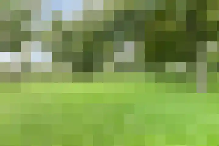 Tiengemeten 201 Amstelveen thumbnail 19