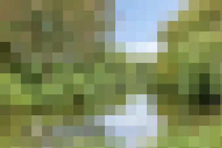Tiengemeten 201 Amstelveen thumbnail 20