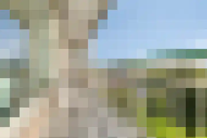 Tiengemeten 201 Amstelveen thumbnail 4