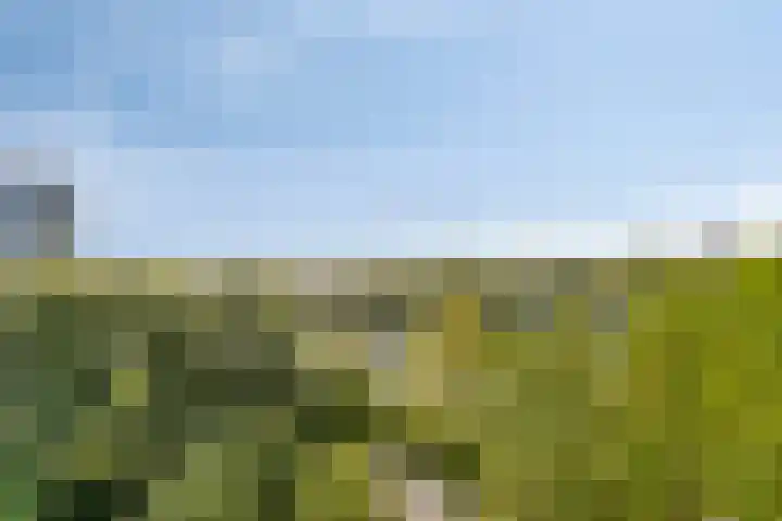 Tiengemeten 201 Amstelveen thumbnail 5