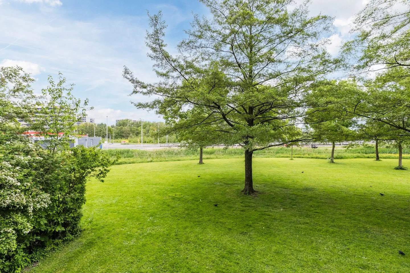 Tiengemeten 61 Amstelveen thumbnail 26