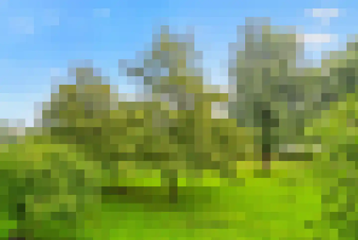 Tiengemeten 73 Amstelveen thumbnail 36