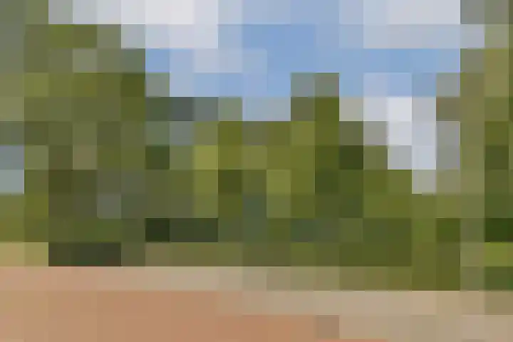 Tiengemeten 77 Amstelveen thumbnail 22