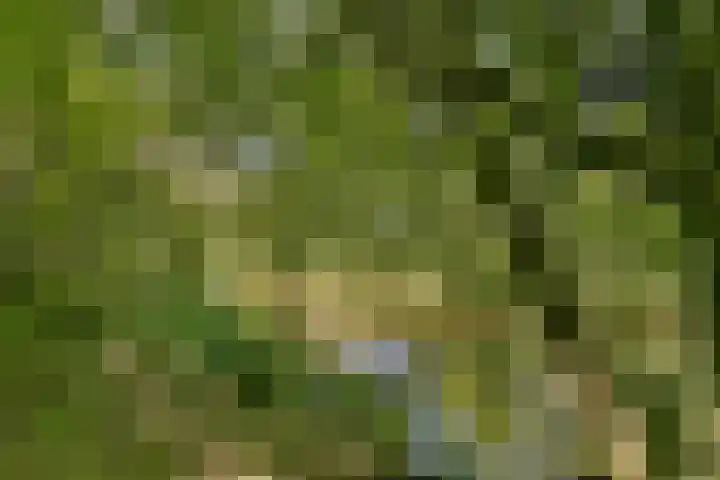 Tiengemeten 77 Amstelveen thumbnail 24