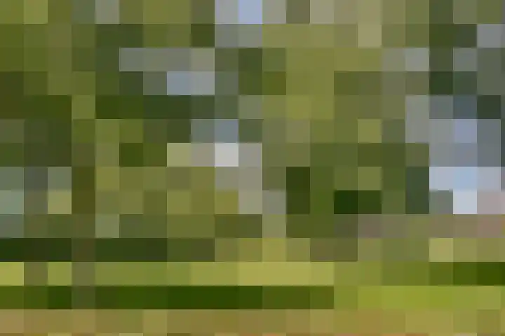 Tiengemeten 77 Amstelveen thumbnail 25